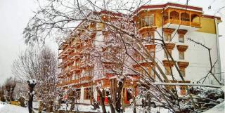 Hotel Grand Himalaya - Leh - 0