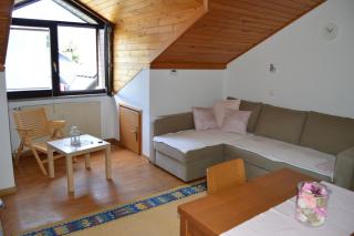 Apartment Viki - Kranjska Gora - 3