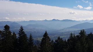 Landhaus Eickler - Baiersbronn - 2