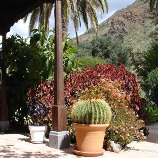 Casa Rural Palomar - Men Only - 1