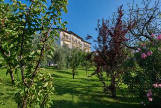 Hotel Belvedere - Torri del Benaco - 5