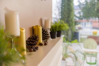 Inza Guest House - Druskininkai - 4