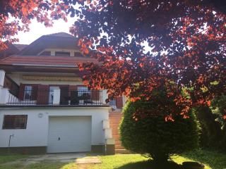 Villa Anita - Vonyarcvashegy - 0