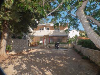 Apartments Plaža - Ivan Dolac - 9