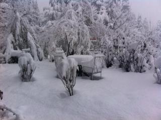 Sparsh Resort, A Boutique Stay - Just 2kms uphill from Mall Road, near Old Manali - 3