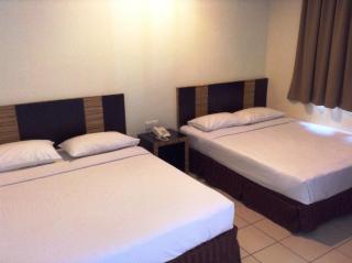 Hotel Traveller - 1