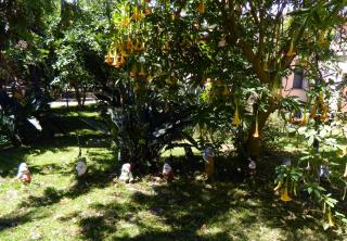 Agriturismo La Grevillea - Riposto - 8