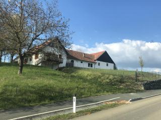 Sonnenhof - Limbach im Burgenland - 9