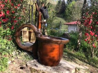 Luylyana Guesthouse - Ribarica - 1