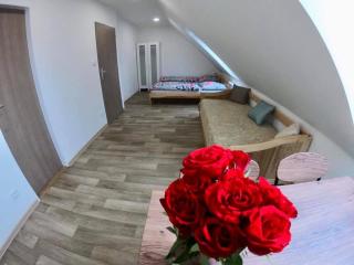 Rodinný Penzion Kyjov - Kyjov - 5