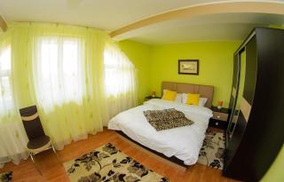 Casa Liana - Oradea - 5