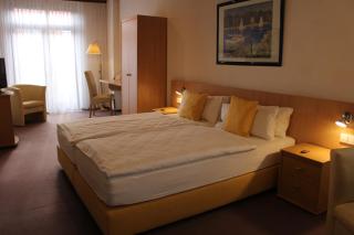 Hotel Rebstock - Ohlsbach - 1