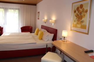 Hotel Rebstock - Ohlsbach - 2
