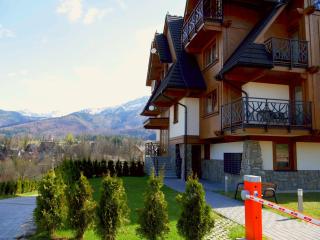 Apartament Przy Stoku - Polana Szymoszkowa Ski Resort - Zakopane - 9
