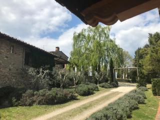 Agriturismo Materno - Radicondoli - 5