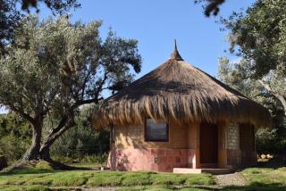 Chalets Suite Familiares - 2