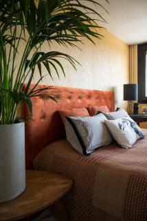 CHAMBRE AVEC VUE - Domessin - 8