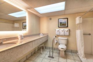 Edgewater Hotel and Conference Center - Gatlinburg - 9