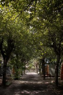 Camping Dolce Sole - 3