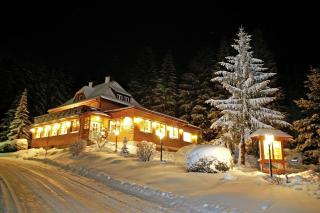 Hotel Restaurant Peterle - Feldberg - 5