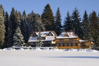 Hotel Restaurant Peterle - Feldberg - 6