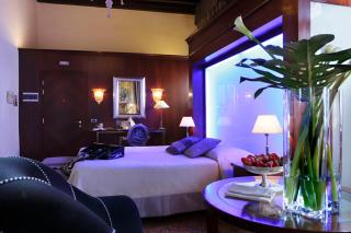 Hotel Liassidi Palace - Venice - 6
