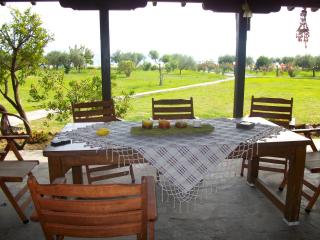 Elli's house - Ierissos - 4