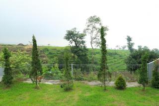 Villa Kangen Omah - Mojokerto - 8