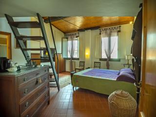 CANACCI UNDICI - Firenze - 7