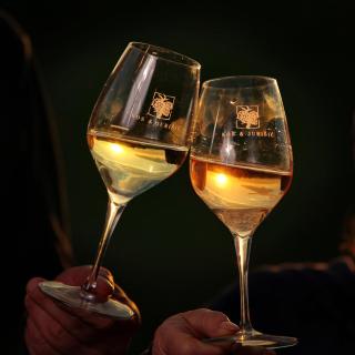 Wine Paradise - 4