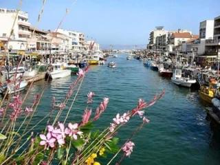 BEAU STUDIO CLIMATISE Rive Gauche - Palavas-les-Flots - 4