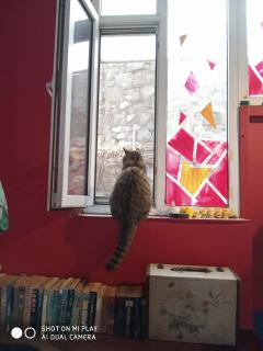 大连天天国际青年旅社 - 1