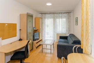 Appartement Graz - Ihr erstklassiges Zuhause fernab von Zuhause - Graz - 7