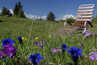 Gästehaus Alpina - Krün - 1