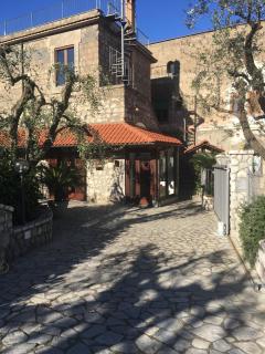 B&B La Quiete - Massa Lubrense - 7