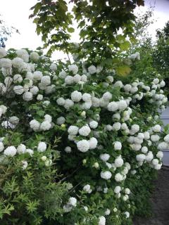 Appart Les Cerises Entre Strasbourg et Haguenau - 3