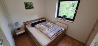 Apartment Alpska Astra - Kranjska Gora - 3