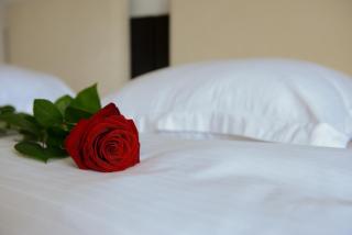 Hotel Bulevard Predeal - Predeal - 8