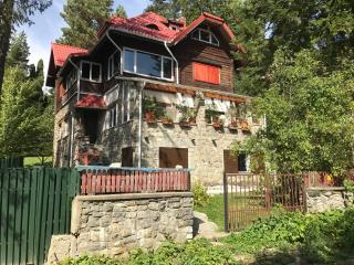 Apartamentul Ursilor - Predeal - 0
