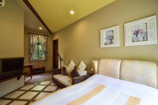 TFG B&B - 9