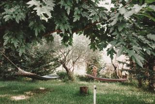 Aventora Apartments - 3