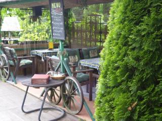 Pension a Restaurant VESNA - České Švýcarsko - Srbská Kamenice - 4