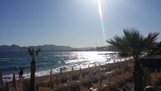 Cannes Riviera - Cannes - 9