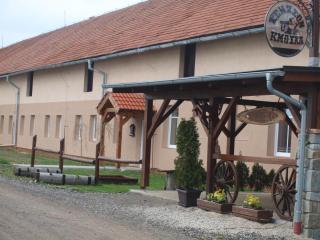 penzion U Kmotra - Borovany - 2