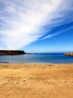 The Herring Queen - Eyemouth - 8