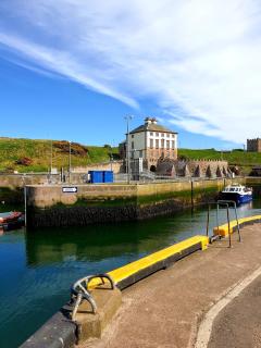 The Herring Queen - Eyemouth - 7