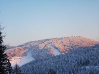 Holiday Home Davča - 8