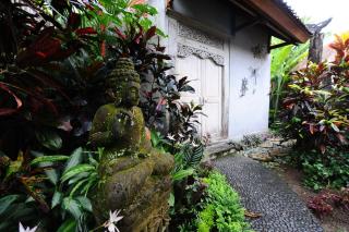 Villa Mimpi - Ubud - 8