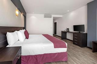 Comfort Inn Morelia - Morelia - 7