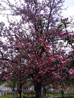 Hotel 5 Mountains - 2